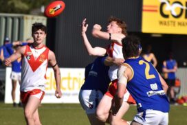 Ballarat Swans defence