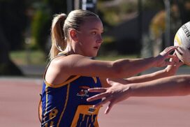 Sebastopol BFNL netball