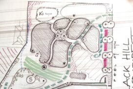 Black Hill Microforest plan