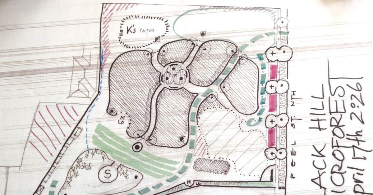 Black Hill Microforest plan