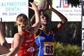 Sebastopol BFNL netball