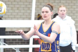 Sebastopol BFNL Netball