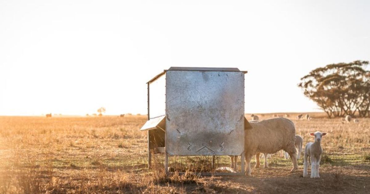 Drought Hardship Loans