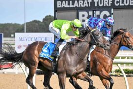 Too Darn Discreet Win
