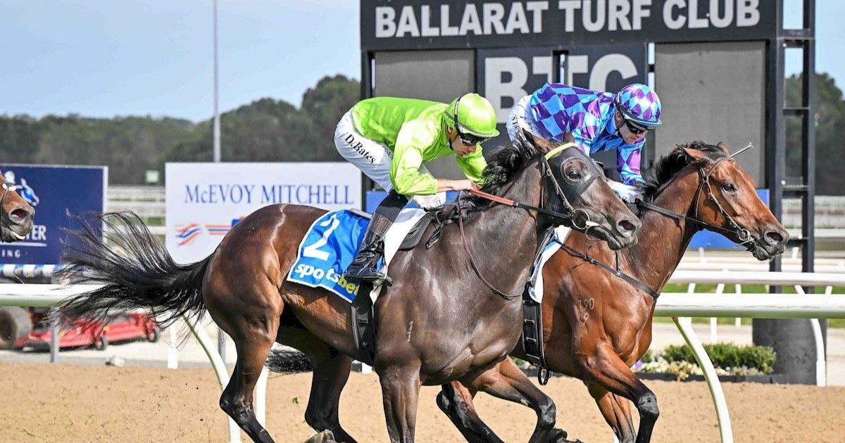 Too Darn Discreet Win