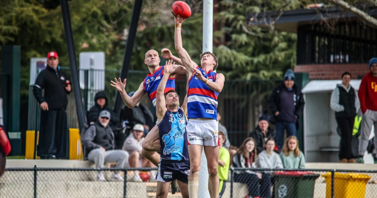 Gisborne Bulldogs BFNL move