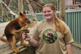 Tree kangaroo conservation
