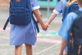 School wellbeing mentoring session