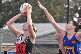 Roosters vs Darley netball