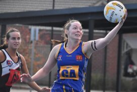 Sebastopol netball growth