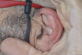free hearing checks
