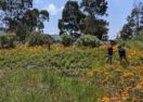 sustainable land management