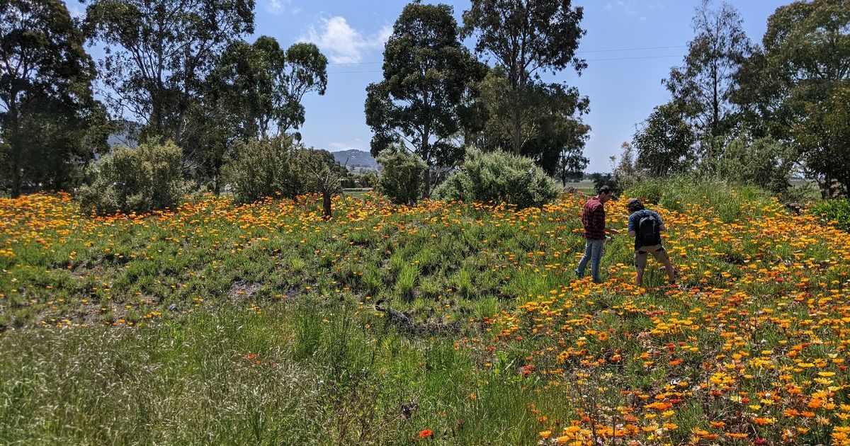 sustainable land management