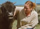 Cuddle a Cow