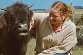 Cuddle a Cow