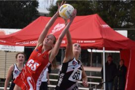Ballarat Swans netball