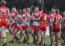 Swans vs Roosters BFNL