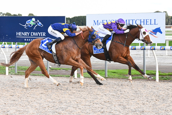 Cumboogle, ridden by Olivia East, wins the Hygain Edge Benchmark 66 Handicap at Ballarat Synthetic on 24 June. Photo: Pat Scala/Racing Photos.