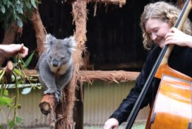 Wurrtoo Melbourne Chamber Orchestra