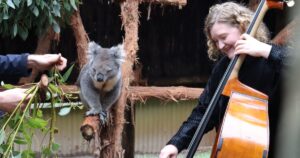 Wurrtoo Melbourne Chamber Orchestra