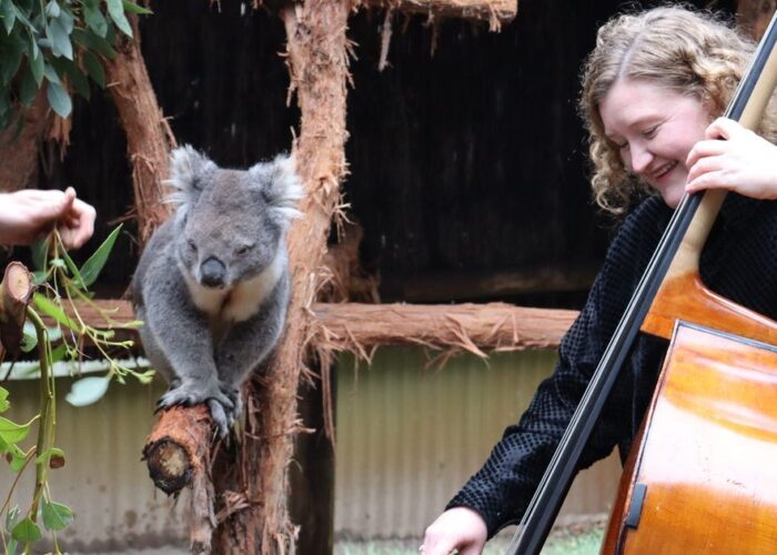 Wurrtoo Melbourne Chamber Orchestra