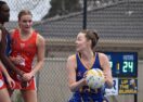 Sebastopol BFNL netball