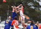 Ballarat Swans injuries